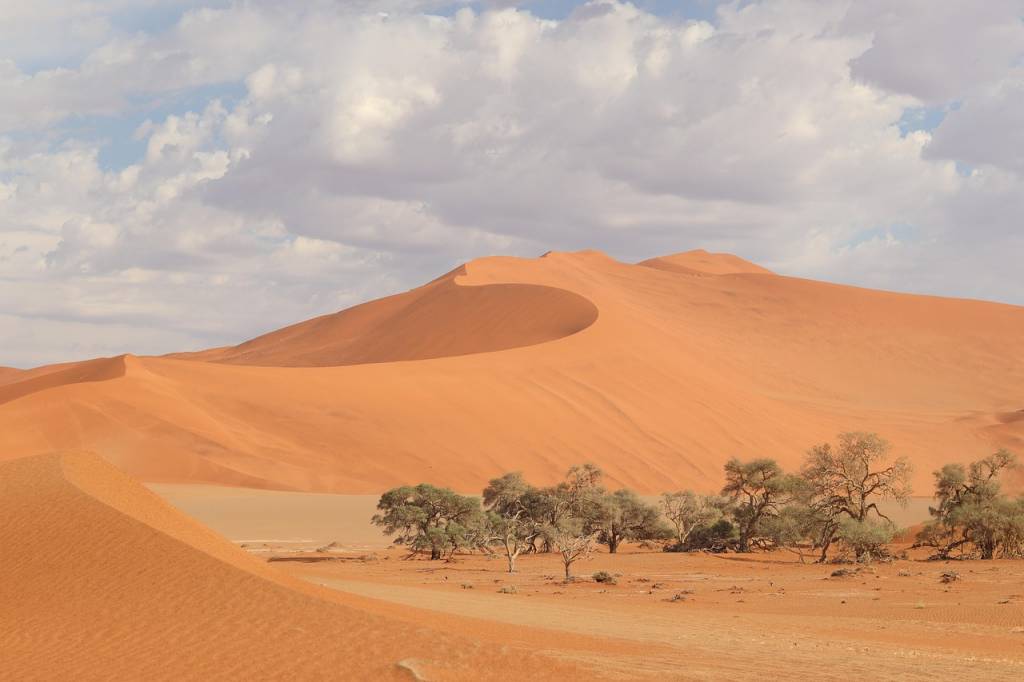 Pourquoi choisir la Namibie pour votre prochain safari